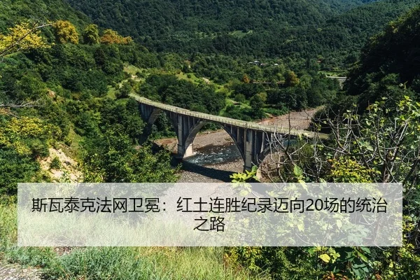 si-wa-tai-ke-fa-wang-wei-mian-hong-tu-lian-sheng-ji-lu-mai-xiang-chang-de-tong-zhi-zhi-lu-2-735.jpg